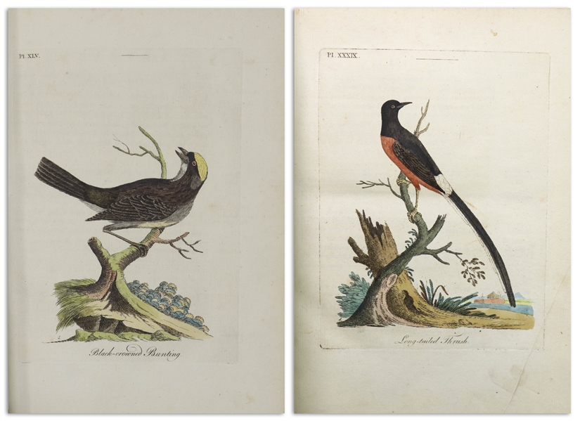 John Latham 2-Volume Set of ''A General Synopsis of Birds'' -- First Edition Published 1783-1785 With All 75 Hand-Colored Plates Present & Original Binding